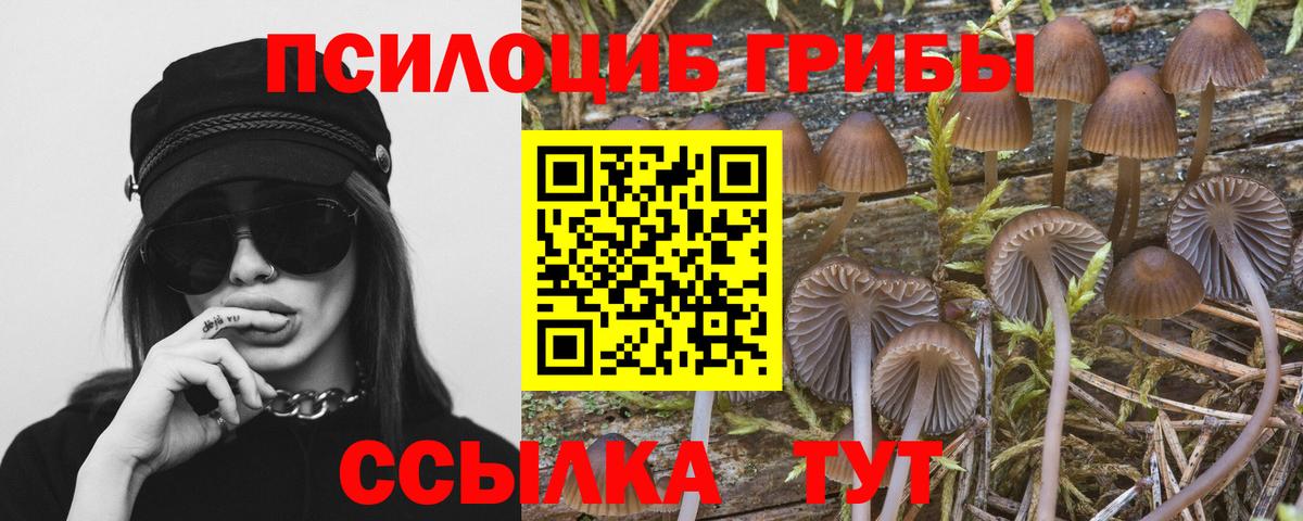 Галлюциногенные грибы мухоморы  Вход с VPN  Сызрань 